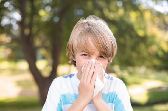 Allergy Center in Illinois