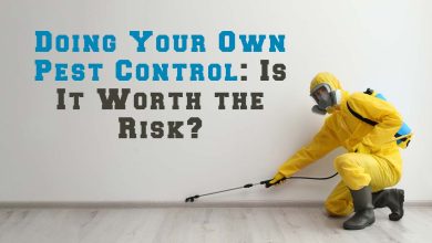 Doing Your Own Pest Control- Is It Worth the Risk?