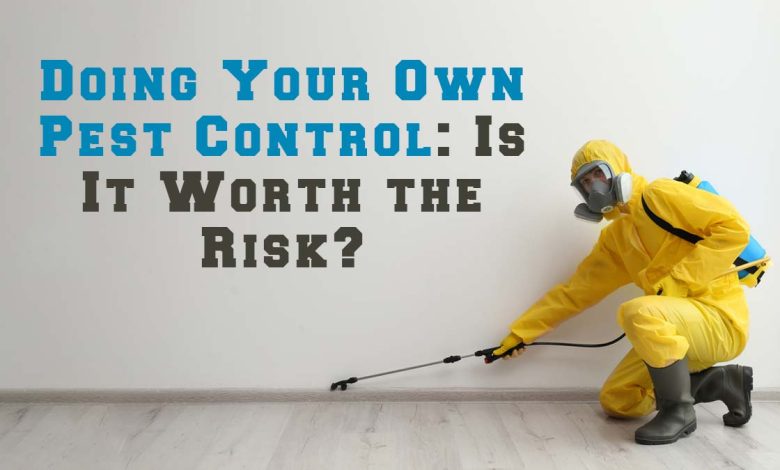 Doing Your Own Pest Control- Is It Worth the Risk?
