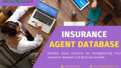 Insurance Agent Database