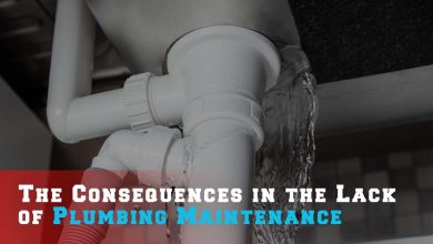 The Consequences in the Lack of Plumbing Maintenance
