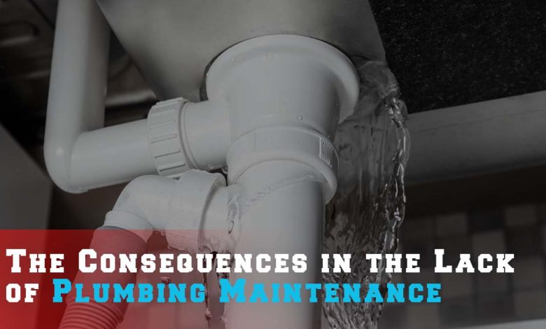 The Consequences in the Lack of Plumbing Maintenance