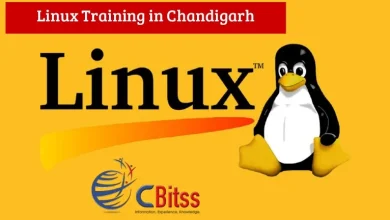 Why is shell scripting important in process automation in Linux?