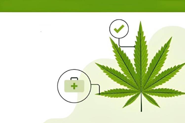 How To Get Your Medical Marijuana Card?: A Step-By-Step Guid