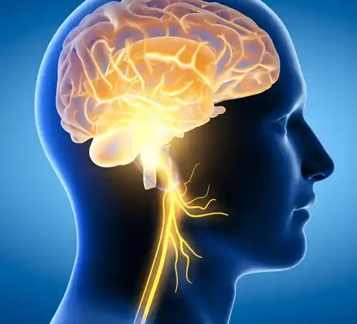 Best neurology hospitals in bangalore