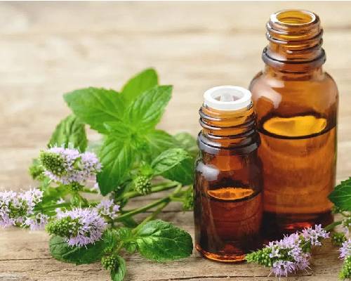 Peppermint Oil: Nature's Gift For Health And Well-Being