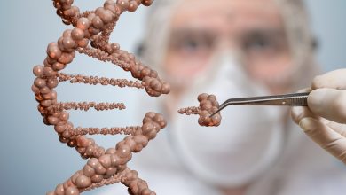 CRISPR and Gene Editing