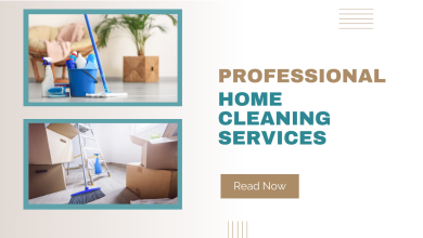 Professional home cleaning services