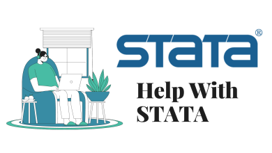 Stata Assignment Help