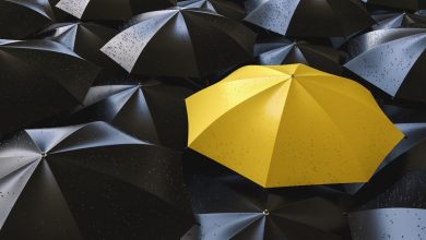 The Ultimate Guide To Umbrella Branding: We Will Understand In Detail