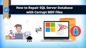 fix SQL Server database corruption