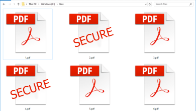 best practices for pdf security