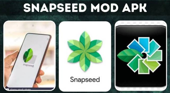 Snapseed Mod apk