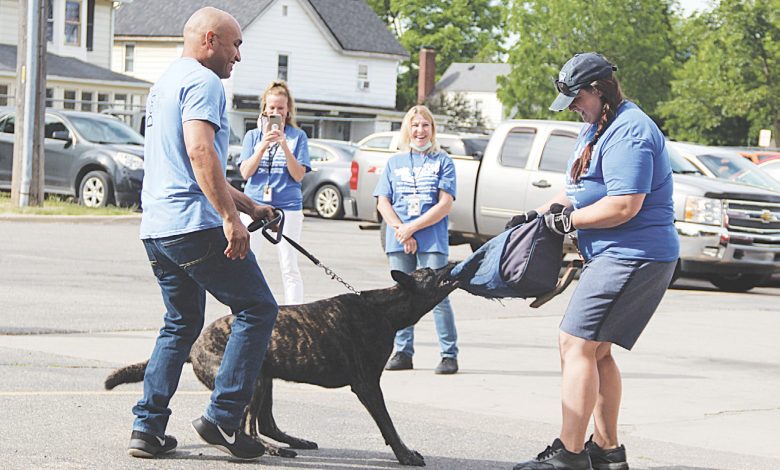 lone worker dog bite prevention