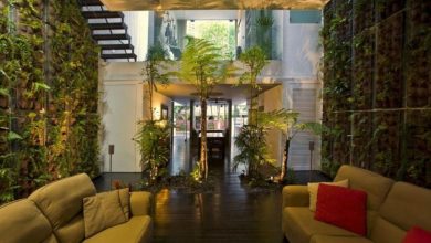 Eco-Friendly Interior Design Ideas for Your Dubai Home