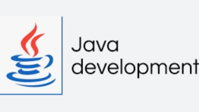 Java Development Services