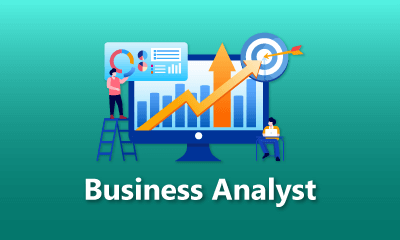 Business Analyst