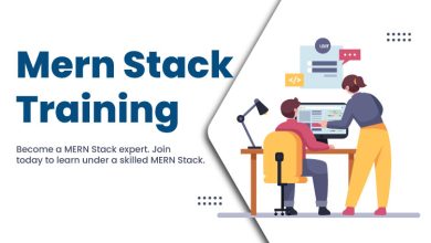 Mern-Stack-Training