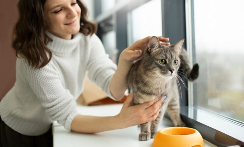 girl playing with cat