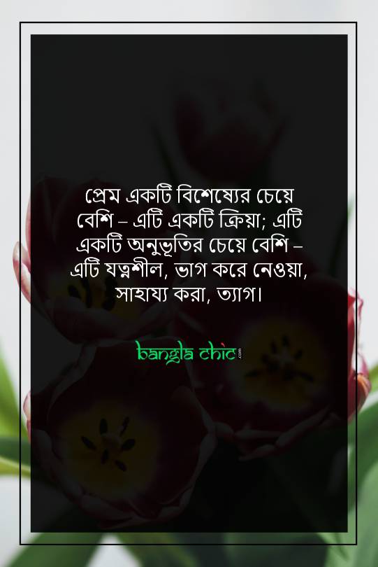 Fb Status Love Bangla