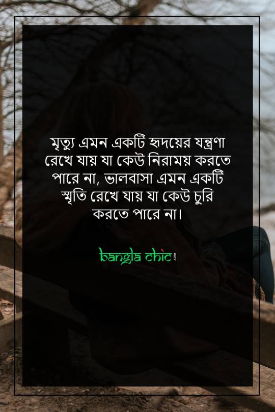 Friend Status Bangla