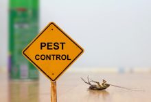 Pest Control in Aventura