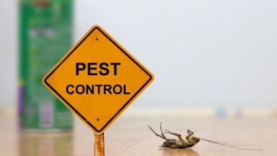 Pest Control in Aventura