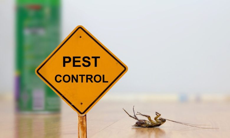 Pest Control in Aventura