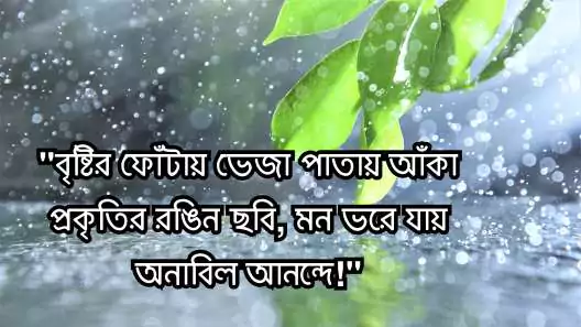 প্রকৃতি নিয়ে ক্যাপশন | প্রাকৃতিক সৌন্দর্য স্ট্যাটাস, facebook status bangla