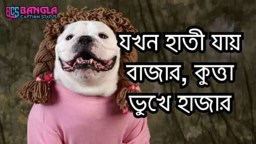 1200+ স্টাইলিশ বেস্ট ক্যাপশন বাংলা- 2025 ! Bangla Caption For Facebook, পৃথিবীর সেরা উক্তি