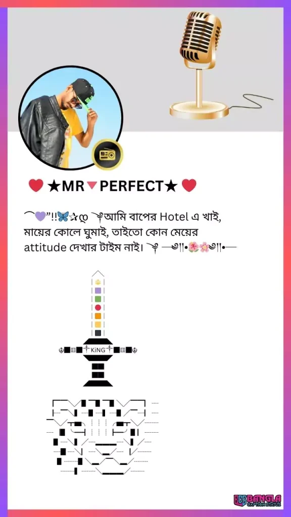 Stylish facebook bio bangla । ফেসবুক বায়ো বাংলা, husband ভালবাসার মানুষকে জন্মদিনের শুভেচ্ছা