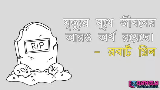 মৃত্যু নিয়ে উক্তি, কবিতা, হাদিস, বাণী, ক্যাপশন, পৃথিবীর সেরা উক্তি