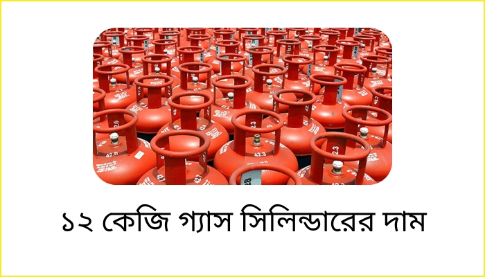 ১২ কেজি গ্যাস সিলিন্ডারের দাম কত ২০২৫, দৃষ্টিভঙ্গি নিয়ে উক্তি
