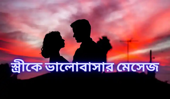 210+ স্ত্রীকে ভালোবাসার মেসেজ / স্বামী স্ত্রীর রোমান্টিক স্ট্যাটাস, ক্যাপশন, SMS, মিষ্টি প্রেমের ছন্দ sms