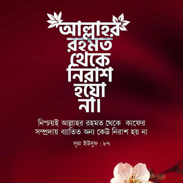 ৩০০+ ইসলামিক স্ট্যাটাস পিকচার ডাউনলোড – ইসলামিক পিকচার ২০২৫ HD, বিবাহ বার্ষিকী স্ট্যাটাস