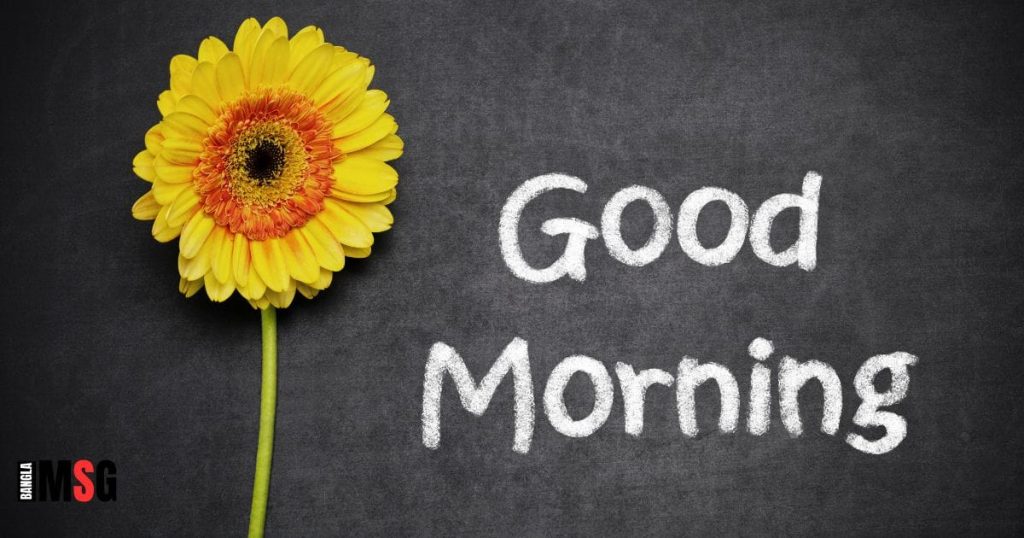 ৩০০+ শুভ সকাল রোমান্টিক মেসেজ, SMS, সেরা ছন্দ ২০২৫, অসম্ভব সুন্দর প্রেমের কবিতা