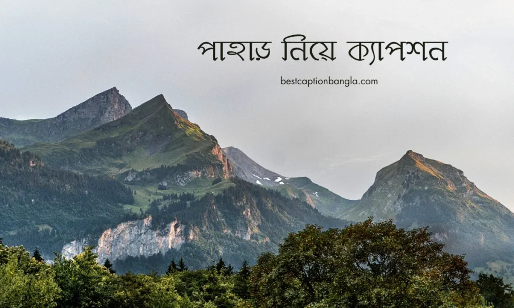 ৪০০+ পাহাড় নিয়ে ক্যাপশন বাংলা ২০২৫, বিবাহ বার্ষিকী স্ট্যাটাস