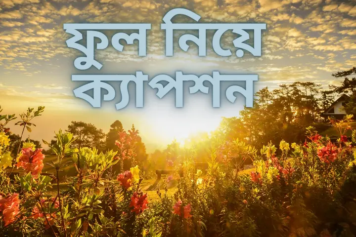 400+সেরা ফুল নিয়ে ক্যাপশন,স্টাটাস ও উক্তি।, প্রচন্ড হাসির গল্প