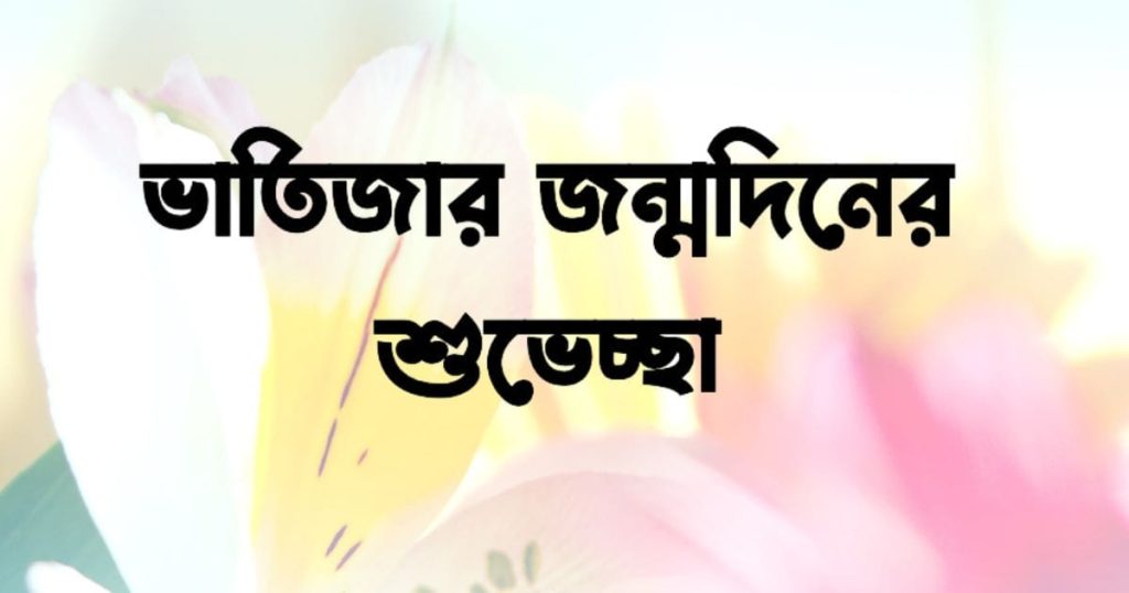 ভাতিজার জন্মদিনের শুভেচ্ছা SMS: ভাইপোর জন্মদিনের শুভেচ্ছা স্ট্যাটাস ২০২৫, ভালোবাসার ছন্দ কষ্টের