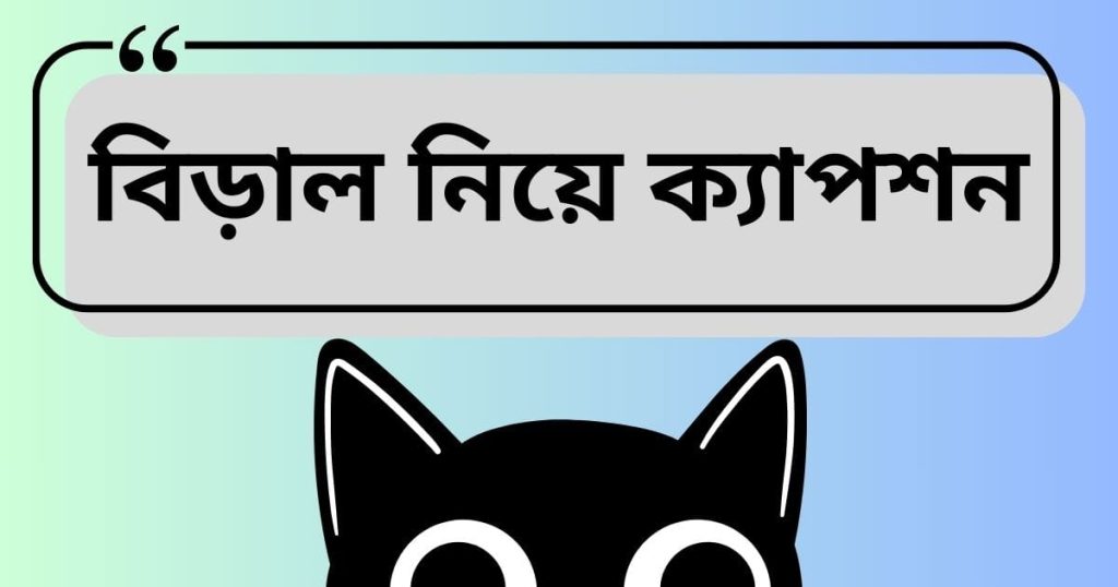 বিড়াল নিয়ে ক্যাপশন: বিড়াল নিয়ে ইসলামের উক্তি ও ক্যাপশন, আবেগি কষ্টের স্ট্যাটাস