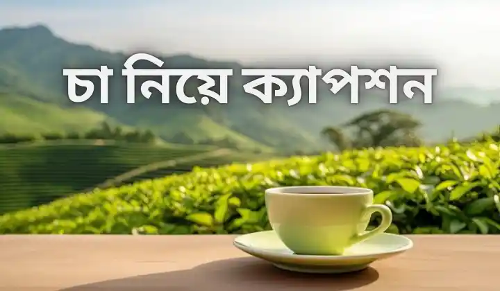 চা নিয়ে ক্যাপশন |  চা বাগান নিয়ে ক্যাপশন | Tea Caption Bangla, পৃথিবীর সেরা উক্তি