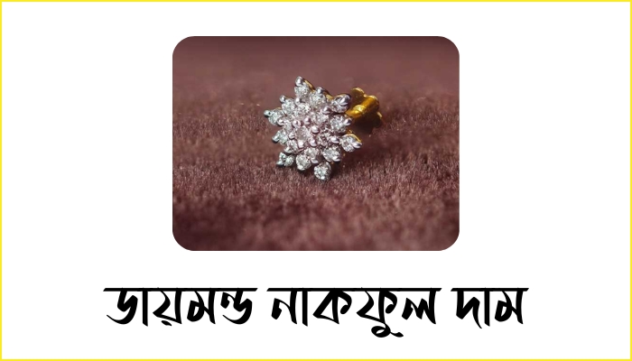 ডায়মন্ড নাকফুল দাম ২০২৫, কষ্টের পিক