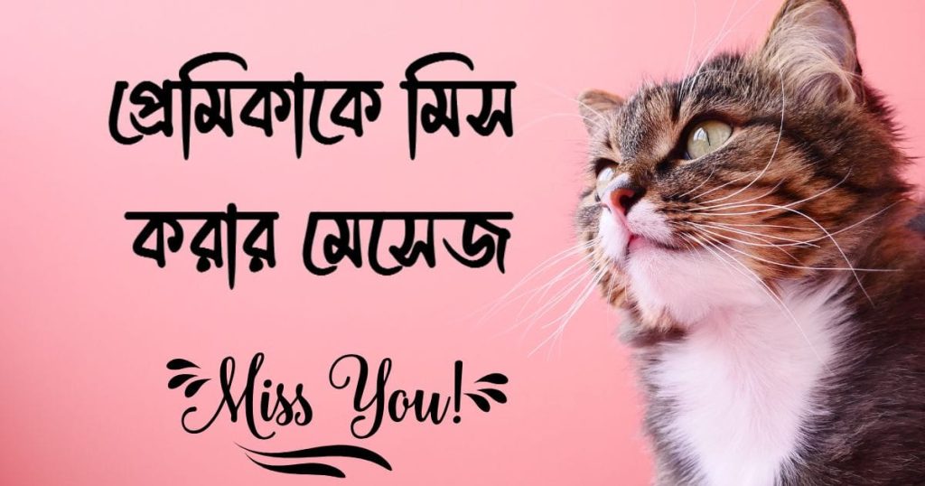 মিস ইউ জান! প্রেমিকাকে মিস করার মেসেজ ও স্ট্যাটাস ২০২৫, কষ্ট নিয়ে স্ট্যাটাস