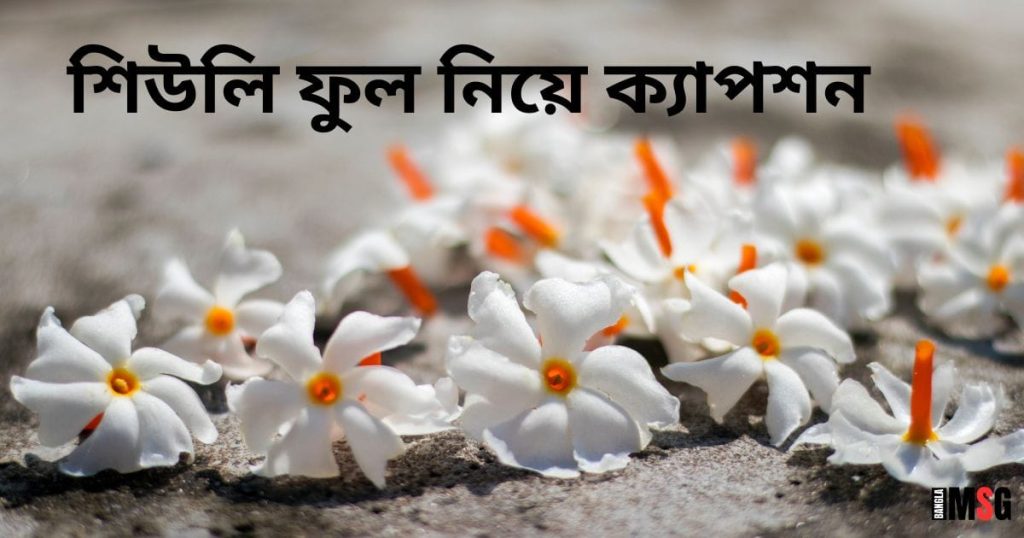 শিউলি ফুল নিয়ে ক্যাপশন: শিউলি ফুল নিয়ে ক্যাপশন বাংলা, স্বদেশ প্রেম রচনা