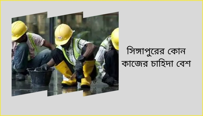 সিঙ্গাপুরের কোন কাজের চাহিদা বেশি, টাকা নিয়ে উক্তি