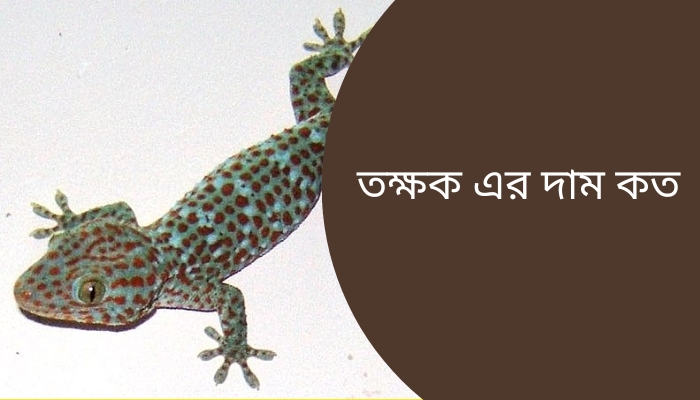 তক্ষক এর দাম কত ২০২৫, আবেগি ক্যাপশন বাংলা