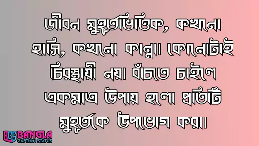 বাস্তব জীবন নিয়ে স্ট্যাটাস, islamic status bangla