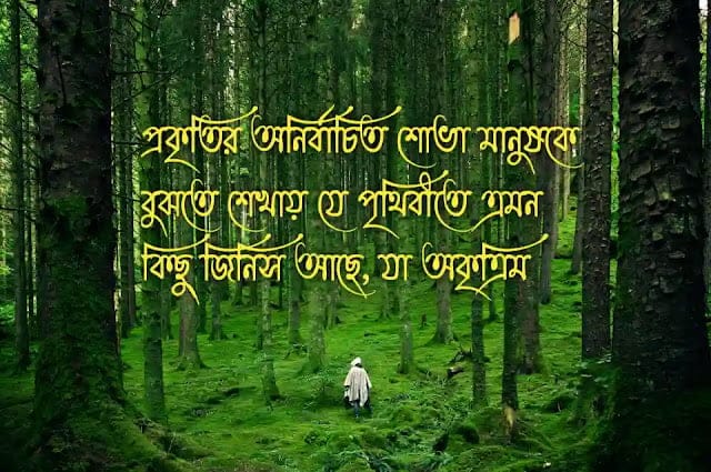 ২০০+ প্রকৃতি নিয়ে ক্যাপশন, কবিতা, স্ট্যাটাস ও উক্তি (ছবি সহ), প্রেম নিয়ে উক্তি