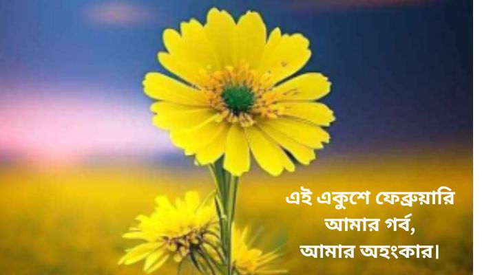 শ*হীদ দিবসের স্ট্যাটাস , ক্যাপশন , ছন্দ ও উক্তি, ইসলামিক শিক্ষামূলক উক্তি