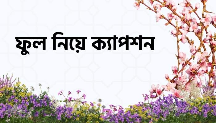 ১০০ + ফুল নিয়ে ক্যাপশন, স্বদেশ প্রেম রচনা